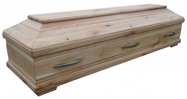 Sarg Asteiche